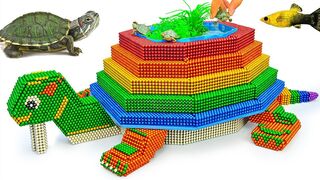 DIY - Build Awesome Turtle Model Aquarium Fish Pond With Magnetic Balls (Satisfying) - Magnet Balls