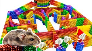 DIY - Build Amazing Hamster Maze Labyrinth With Magnetic Balls (Satisfying) - Magnet Balls