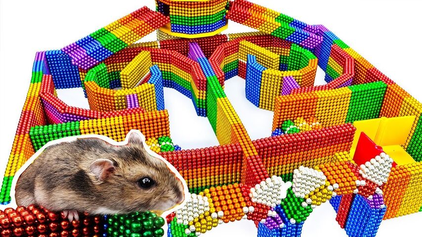 hot to make a hamster maze