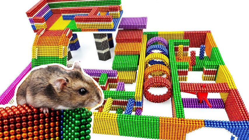 hot to make a hamster maze