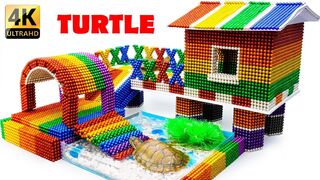 DIY - Build Turtle Aquarium House With Magnetic Balls (Satisfying) - Magnet Balls