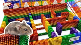DIY - Build Amazing Maze Labyrinth For Hamster Pet With Magnetic Balls (Satisfying) - Magnet Balls