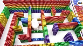 DIY - Build Amazing Maze Labyrinth For Hamster Pet With Magnetic Balls (Satisfying) - Magnet Balls