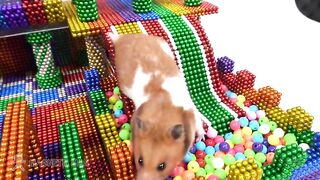 DIY - How To Build Amazing Playground for Hamster with Magnetic Balls (Satisfying) | MM 4K ASMR