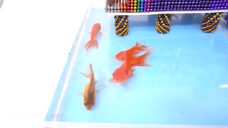 Building Beautiful Lakeside Villa from Magnetic Balls with Goldfish (Satisfying Videos) | MM 4K ASMR