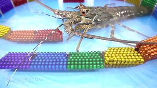 Building Skull Island for Lobster with Magnetic Balls Satisfaction 100% (ASMR) | Magnetic Man 4K