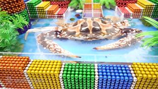 DIY - Building Castle With Underground Swimming Pool for Crab From Magnetic Balls | Magnetic Man 4K