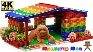 DIY - How To Build House Dog from Magnetic Balls Satisfaction 100% (ASMR) | Magnetic Man 4K