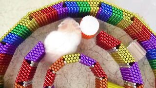Amazing DIY 5 Level Maze For Hamsters From Magnetic Balls Satisfying | WOW Magnet