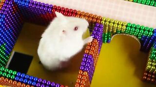 DIY - Build Pyramid Maze 5 - Level For Hamster From Magnetic Balls (Miniature Magnet) | WOW Magnet