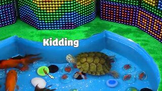 DIY - Build Underground Fish Pond, Slide Water For Turtle With Magnetic Balls - WOW Magnet