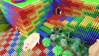 DIY - Build Underground Secret Hole House For Eel, Hamster With Magnetic Balls - WOW Magnet