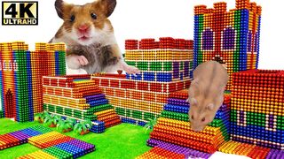 ASMR - Build Brick Play Castle For Hamster Pet With Magnetic Balls (Satisfying) - WOW Magnet