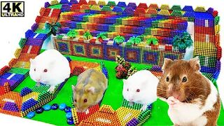 ASMR - How To Build Race Playground For Hamster With Magnetic Balls (Satisfying) - WOW Magnet