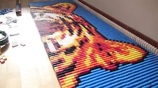 AMAZING GOLDEN TIGER MADE FROM 8,200 DOMINOES | Domino Art #18